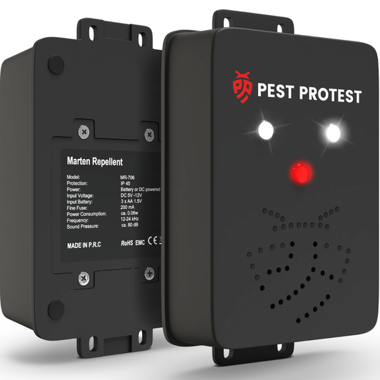 Pest Protest Marterverjager - Pest Protest